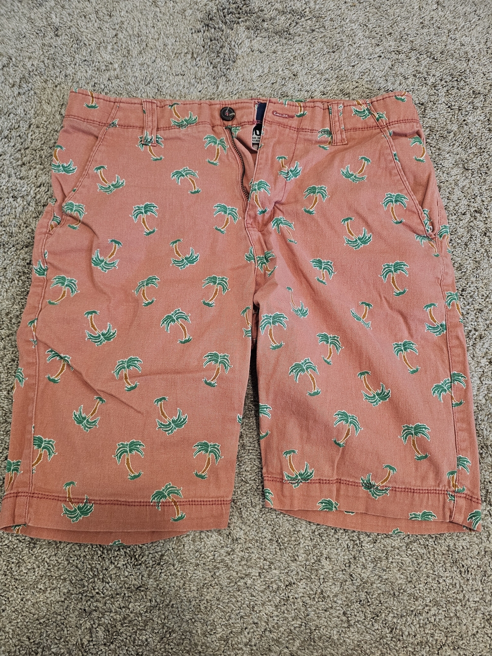Plugg Coral Palm-Print Flat Front Men's Shorts